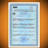 Жиросжигатель мощный, таблетки для похудения 10 Жиросжигатель мощный, таблетки для похудения — фото 10