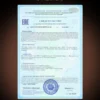 Протеин сывороточный для мышечной массы Whey Protein 10 Протеин сывороточный для мышечной массы Whey Protein — фото 10