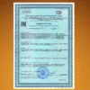 Куркумин с пиперином (биоперином) в капсулах 11 Куркумин с пиперином (биоперином) в капсулах — фото 11
