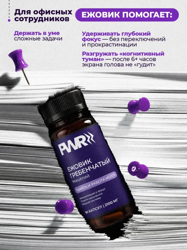 Ежовик гребенчатый мицелий для мозга и памяти — фото 2