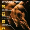 BCAA порошок 2-1-1 500гр — ананас 3 BCAA порошок 2-1-1 500гр — ананас — фото 3