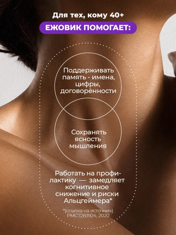 Ежовик гребенчатый мицелий для мозга и памяти — фото 3