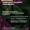 Хлорофилл жидкий для похудения, 1 л — мята 4 Хлорофилл жидкий для похудения, 1 л — мята — фото 4