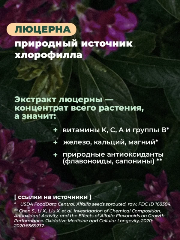 Хлорофилл жидкий для похудения 4 Хлорофилл жидкий для похудения — фото 4