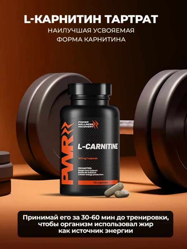ZMA бустер тестостерона и л карнитин 4 ZMA бустер тестостерона и л карнитин — фото 4