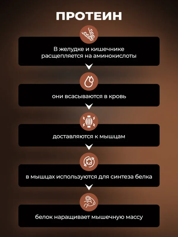 Протеин сывороточный для мышечной массы Whey Protein 5 Протеин сывороточный для мышечной массы Whey Protein — фото 5