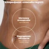 Хлорофилл жидкий для похудения, 1 л — мята 6 Хлорофилл жидкий для похудения, 1 л — мята — фото 6