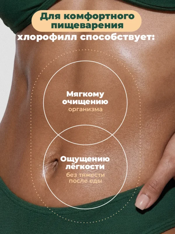 Хлорофилл жидкий для похудения, 1 л — мята 6 Хлорофилл жидкий для похудения, 1 л — мята — фото 6