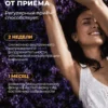Л Теанин успокоительное от стресса — фото 7