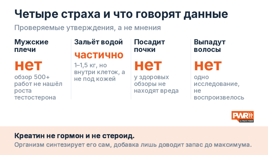 Данные не подтверждают рост тестостерона, вред для почек и выпадение волос; задержка воды частично правда — 1–1,5 кг внутриклеточной