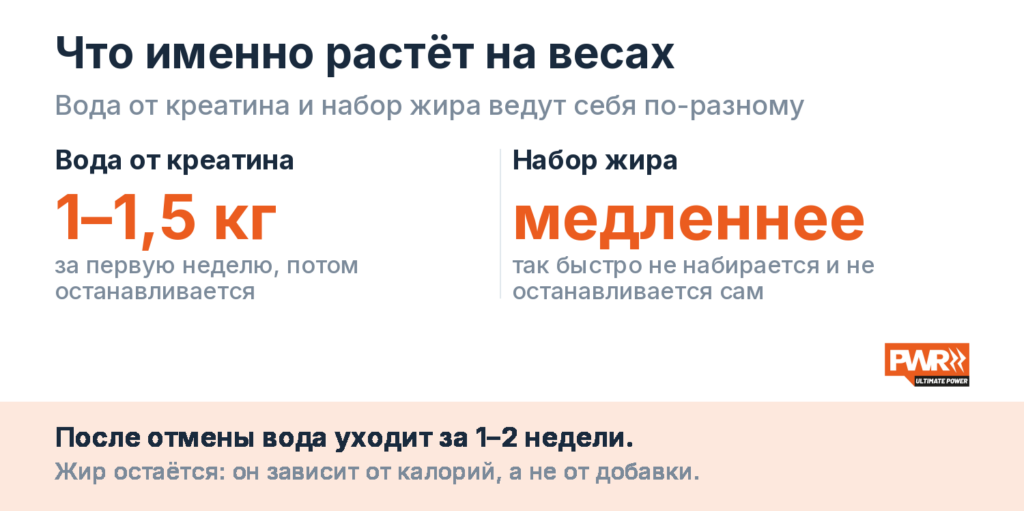 Вода от креатина даёт 1–1,5 кг за первую неделю и уходит за 1–2 недели после отмены, набор жира так быстро не происходит